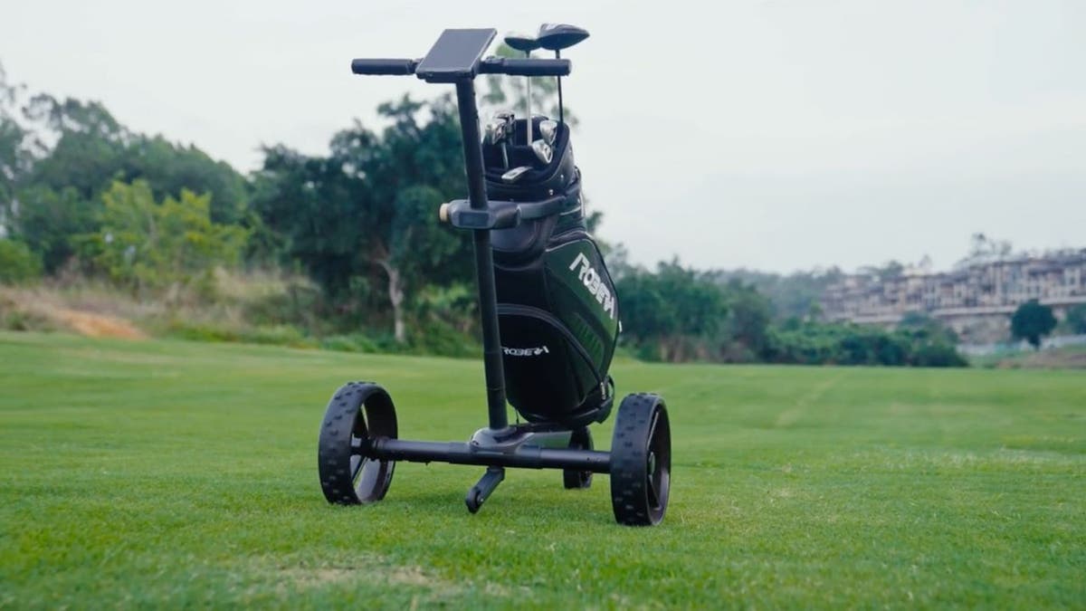 Ai Caddy 2